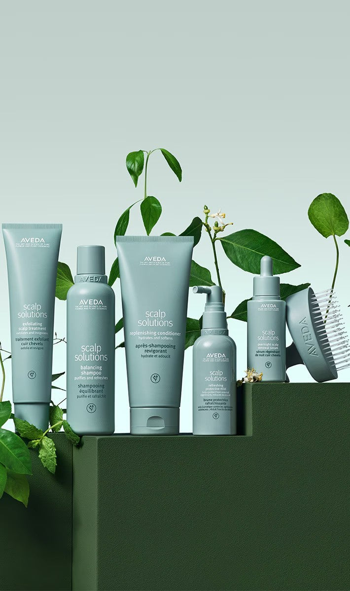 scalp solutions balancing shampoo